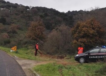 Segue navigatore e si affaccia su dirupo