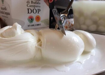 Sempre più ‘fake mozzarelle’, task force Consorzio bufala dop