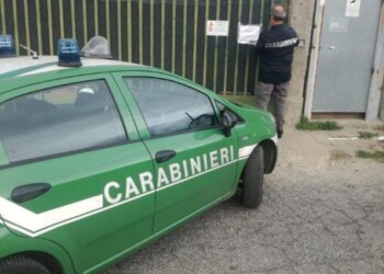 Sequestrata area con rottami di auto