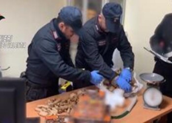 Sequestro laboratorio artigianale botti