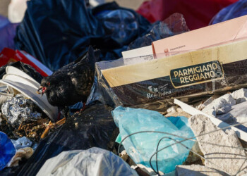 Telecamere contro abbandono rifiuti