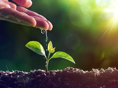 Soil4life, progetto per la salvaguardia del suolo approda nelle scuole