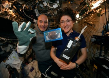 Tornati sulla Terra i primi biscotti sfornati nello spazio