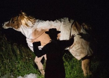 Trisha Baga. The eye, the eye and the ear