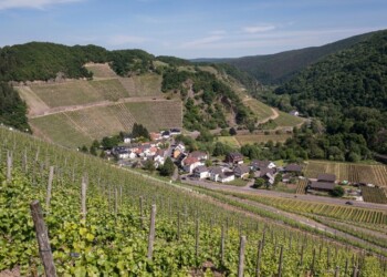 Vino, appuntamento col nettare di Bacco delle ‘Terre estreme’