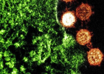 Virus Cina, il primo caso non era stato al mercato di Wuhan