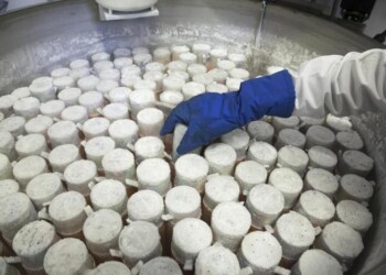 Virus Cina, negativi test caso Macerata