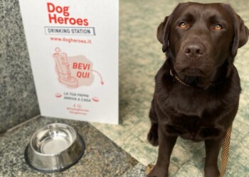 APERTO A MILANO IL TEMPORARY STORE DEL CIBO FRESCO (E SANO) PER CANI CON CONSEGNA A DOMICILIO