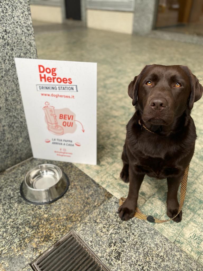 APERTO A MILANO IL TEMPORARY STORE DEL CIBO FRESCO (E SANO) PER CANI CON CONSEGNA A DOMICILIO