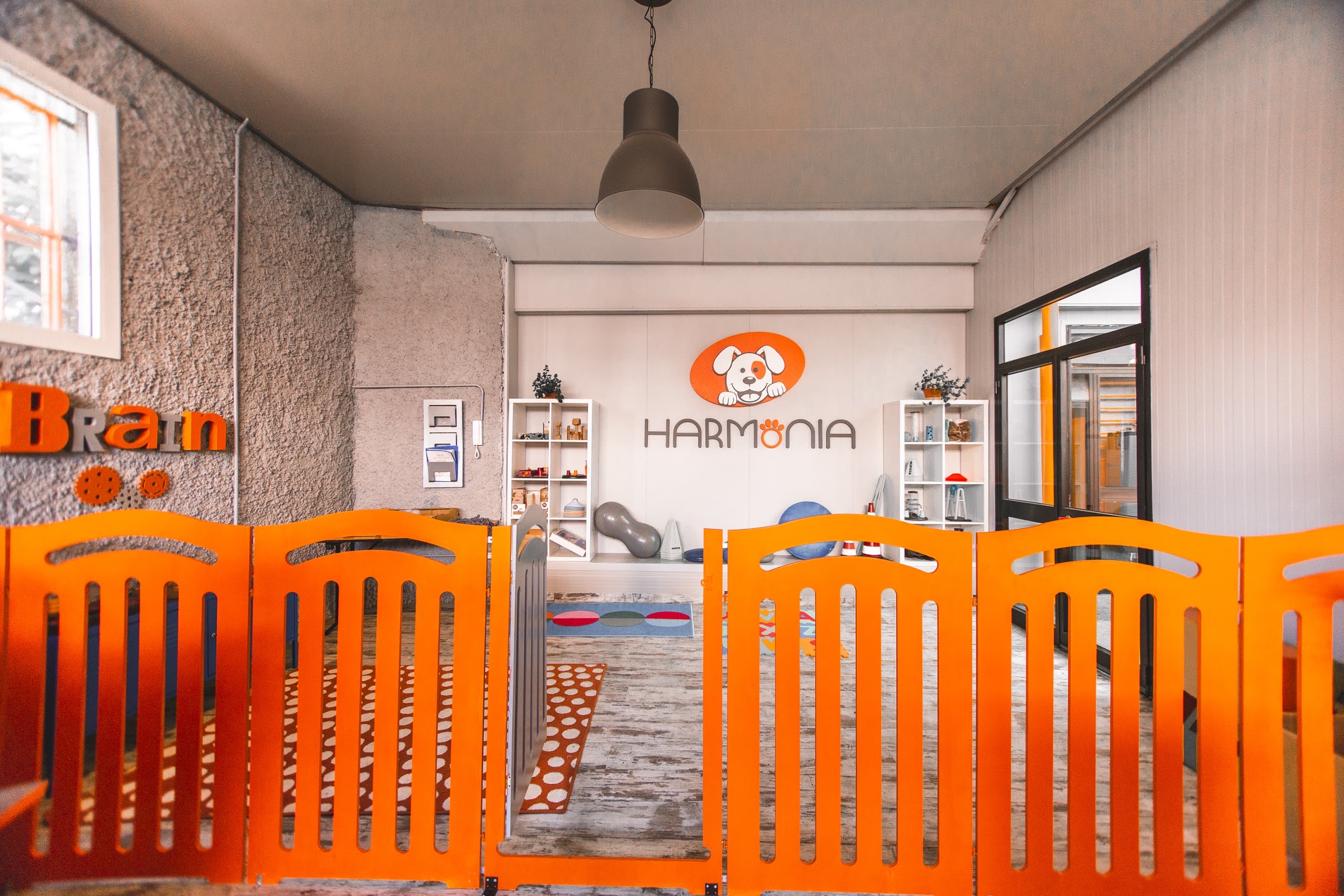 ASILI PER CANI:  UNA COCCOLA SPECIALE PER GLI AMICI A 4 ZAMPE