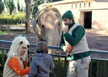 Animali: anche la Bioparco di Roma festa di carnevale 