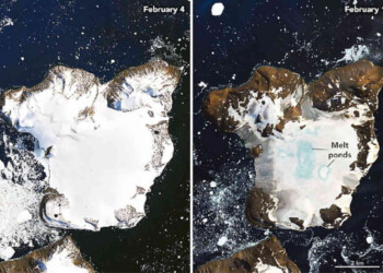 Antartide, CALDO anomalo e 20% di copertura nevosa in meno