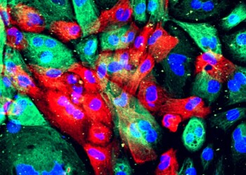 Ascoltata la voce dei tumori, apre la strada a cure su misura