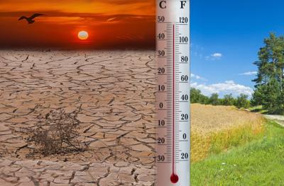 Gennaio 2020 da record, il più caldo mai registrato