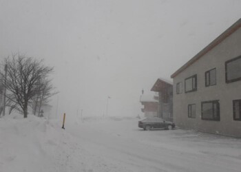 Confermata allerta Alfa in Alto Adige