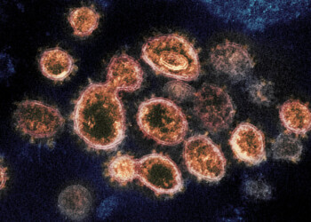 Coronavirus, cambia lo scenario dell’epidemia in Italia