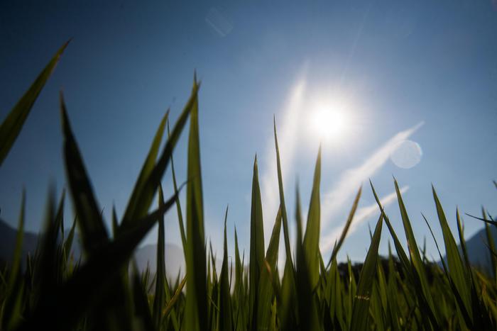 Coronavirus, dalle agenzie alimentari dell’Onu sostegno alla Cina