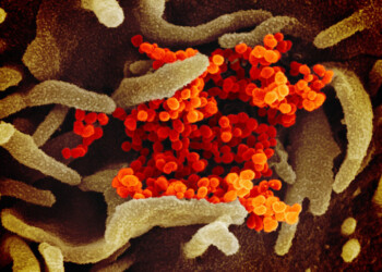 Coronavirus in Cina forse già da ottobre