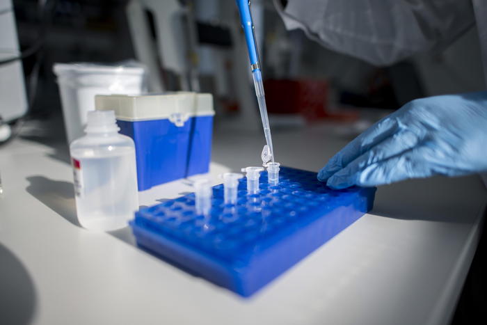 Coronavirus, in E-R 115 casi, 6 più seri