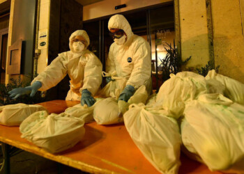 Coronavirus, per gli esperti l’epidemia è in una nuova fase