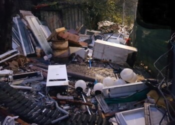 Denunce Forestali a Camogli e Rapallo