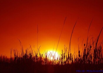 Estati sempre più roventi per l’Italia e il Mediterraneo