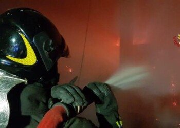 Fiamme in stalla, molti animali morti