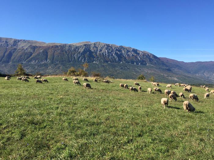 Gli allevatori della ‘Montagna Madre’