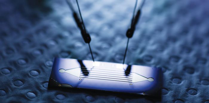 I messaggi dei tumori intercettati da nanoparticelle d’oro