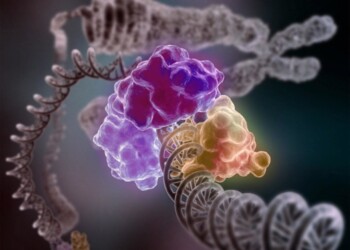 Il primo enzima artificiale avvicina la chimica verde