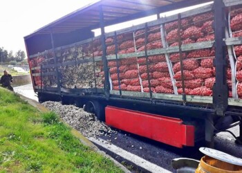 In fiamme tir, bruciati quintali aglio