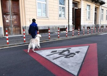 Legge di Bilancio e sviluppo sostenibile: povertà in calo, ma l’Italia arretra su scuola e lavoro