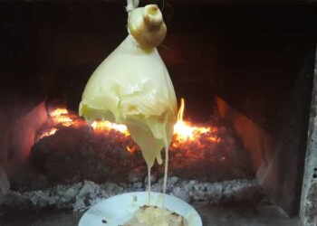 Maxifurto di 1200 caciocavalli in Molise