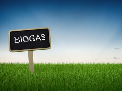 Milleproroghe, Cib: soddisfazione per ok incentivi impianti biogas