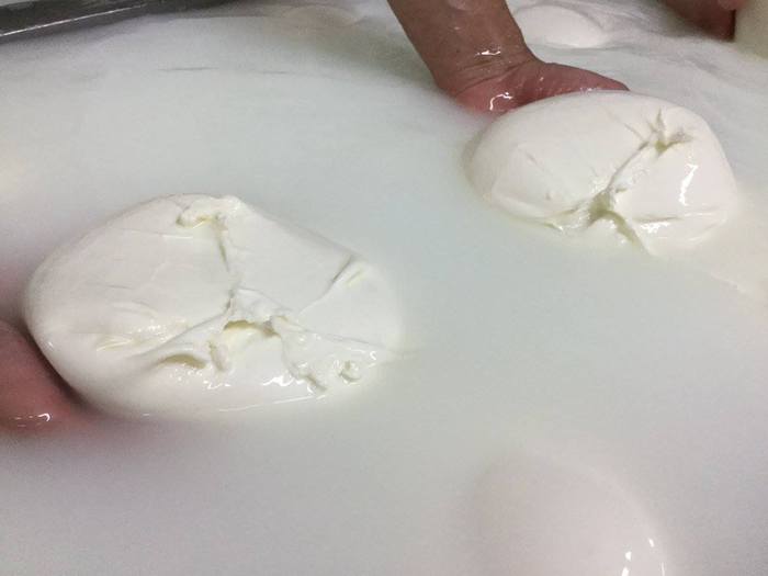 Mozzarella di bufala, investimento di 7,7 milioni in Campania