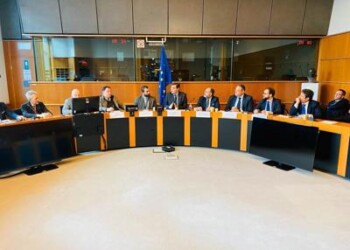 Patriciello: “Transizione green, serve l’impegno di tutti” 