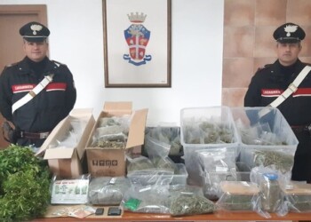 Piante cannabis e 10 kg marijuana