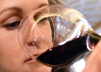 Primitivo Manduria, 23 mln di bottiglie