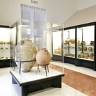 Quando a Capri c’erano i rinoceronti. La Preistoria va in scena al MANN