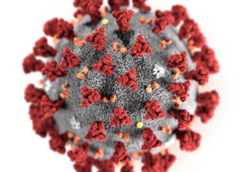 Regione attiva task force per virus