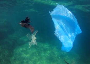 Rifiuti: Bcg, ogni anno 10 mln di ton di plastica negli oceani  