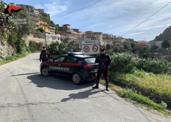 Rubano animale e chiedono soldi,arresti