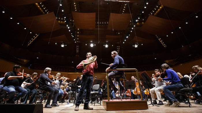 S. Cecilia, Gatti e il corno di Allegrini