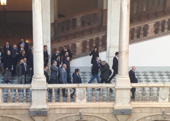 Salvini, oggi vedo Orban