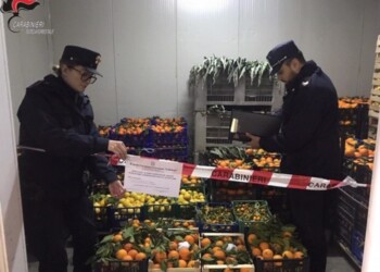 Sequestrate 4 tonnellate di ortaggi
