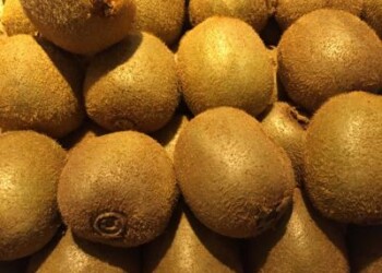 Sostenibilità: Zespri, imballaggi green entro il 2025  