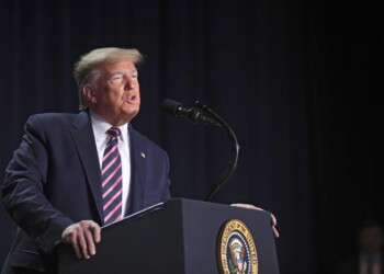 Trump, i dem fanno del male al Paese