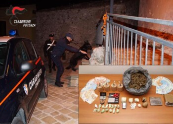 Venosa: deposito di droga nella cantina