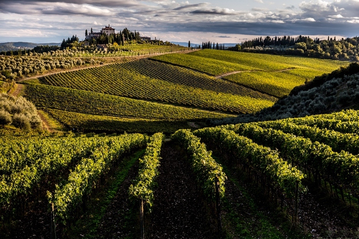 Vino: in Toscana vale 1 mld di cui 558 mln export 2019