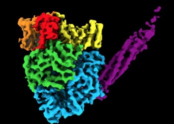 Virus, la prima mappa atomica di un loro enzima
